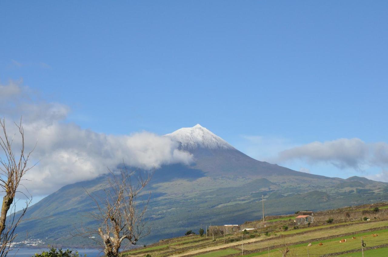 Villa Casa Da Abrotea Lajes do Pico Esterno foto